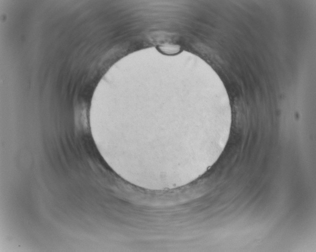 X0000069390042200606091727