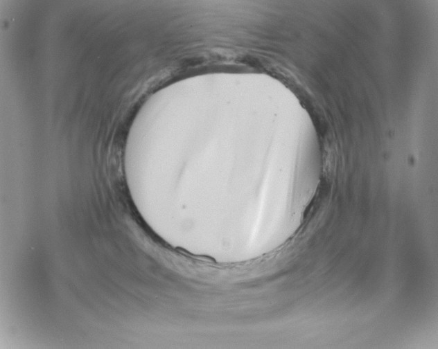 X0000069390043200606091727