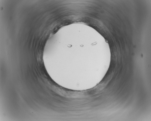 X0000069390044200606091727