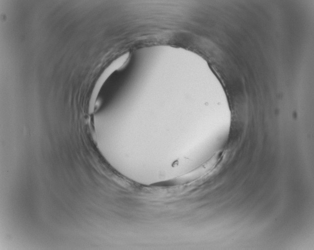 X0000069390045200606091727