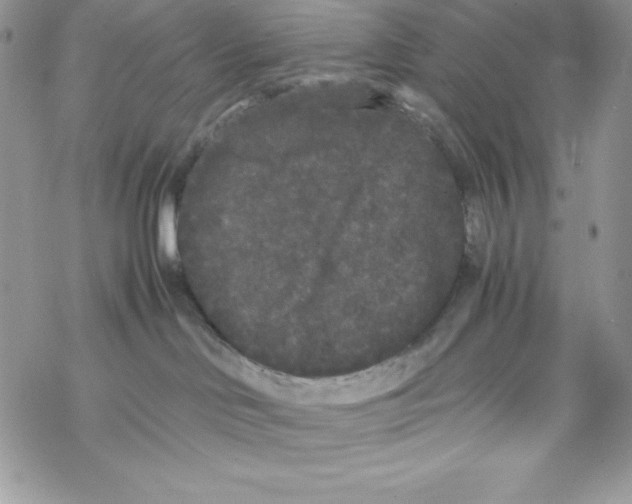 X0000069390046200606091727