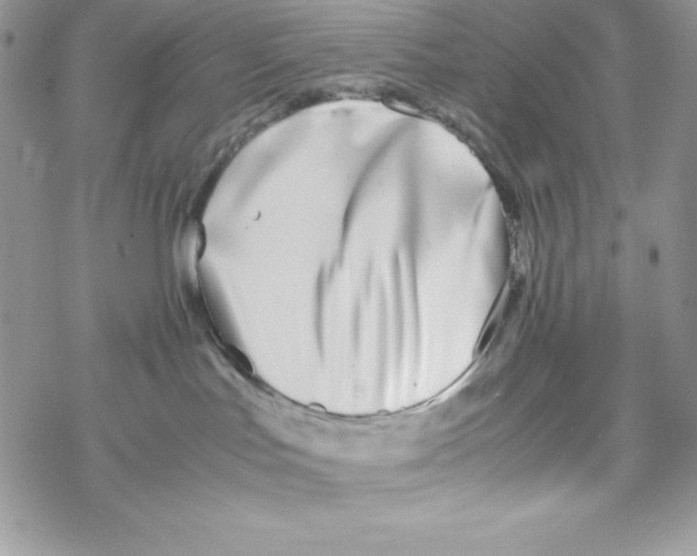 X0000069390047200606091727