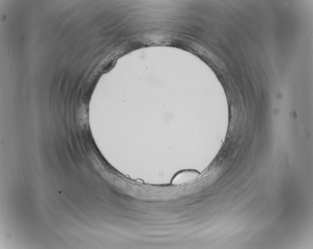 X0000069390048200606091727