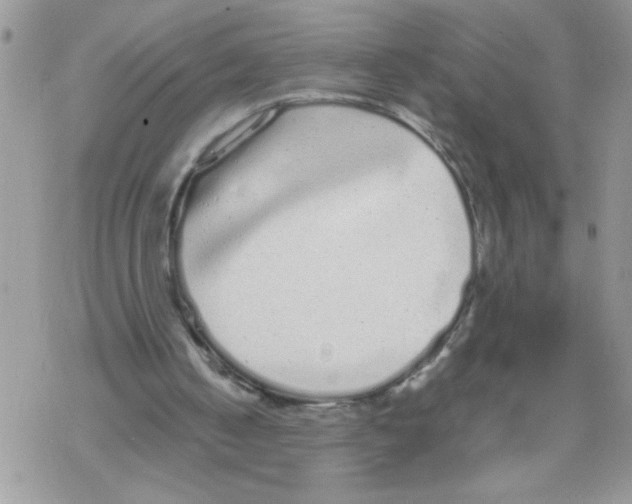 X0000069390050200606091727