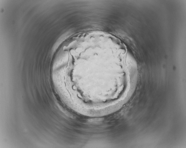 X0000069390051200606091727