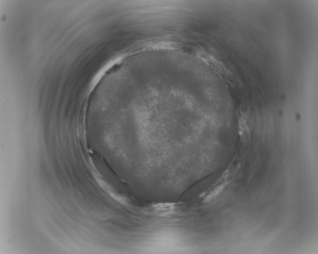 X0000069390052200606091727