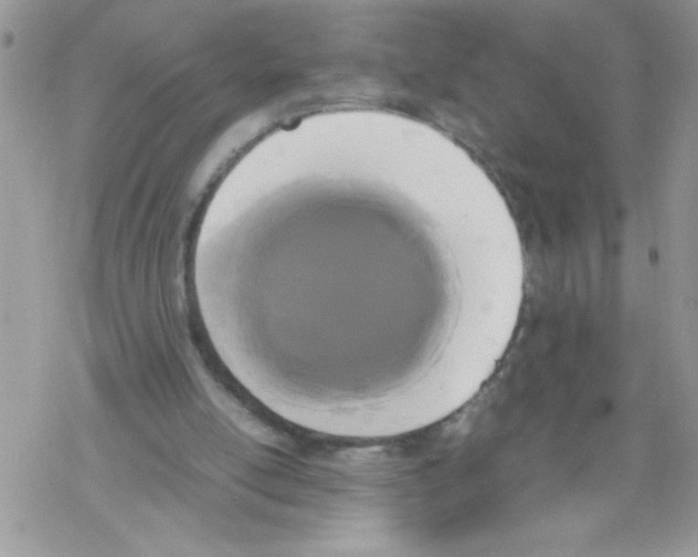 X0000069390054200606091727