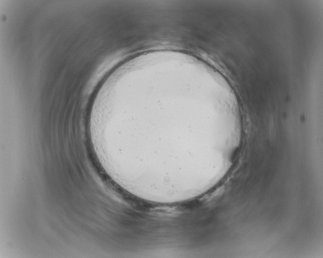 X0000069390055200606091727