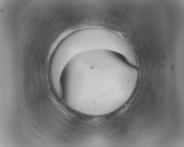 X0000069390056200606091727