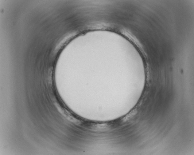 X0000069390058200606091727