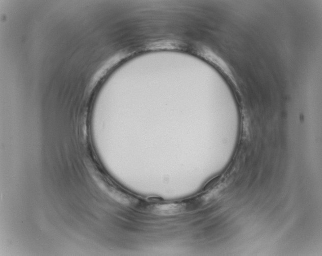 X0000069390059200606091727