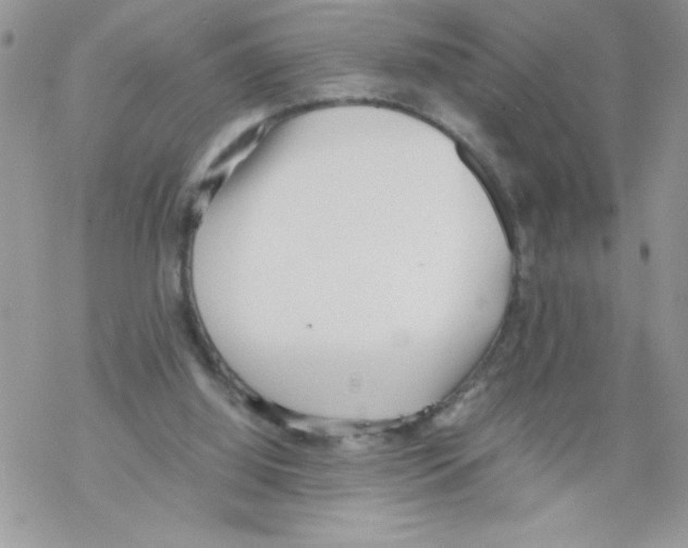 X0000069390060200606091727