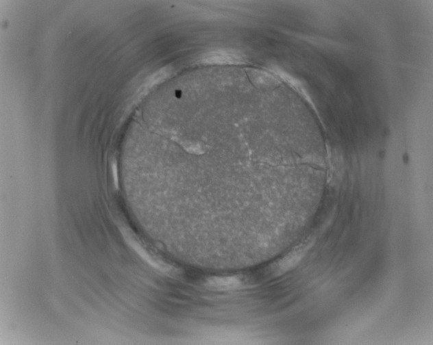 X0000069390061200606091727