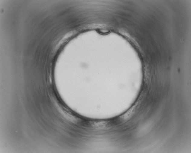 X0000069390062200606091727