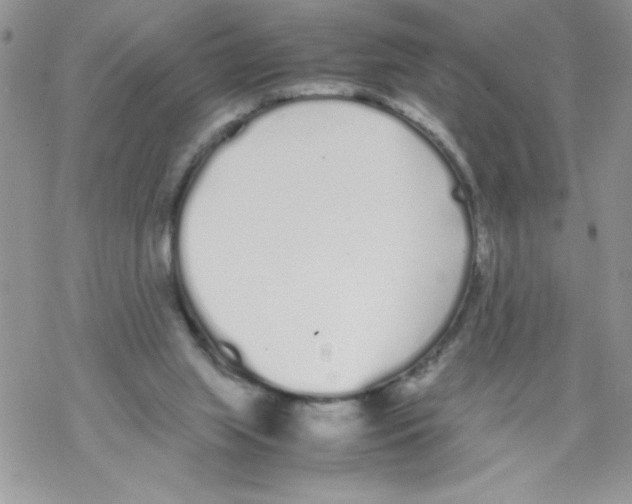 X0000069390063200606091727