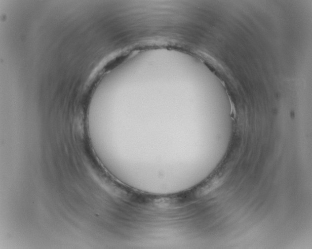 X0000069390064200606091727