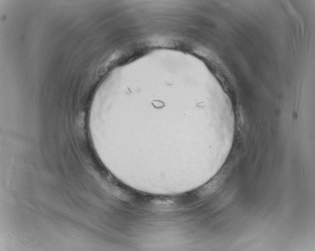 X0000069390066200606091727