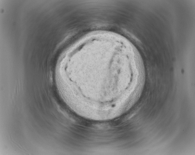 X0000069390067200606091727