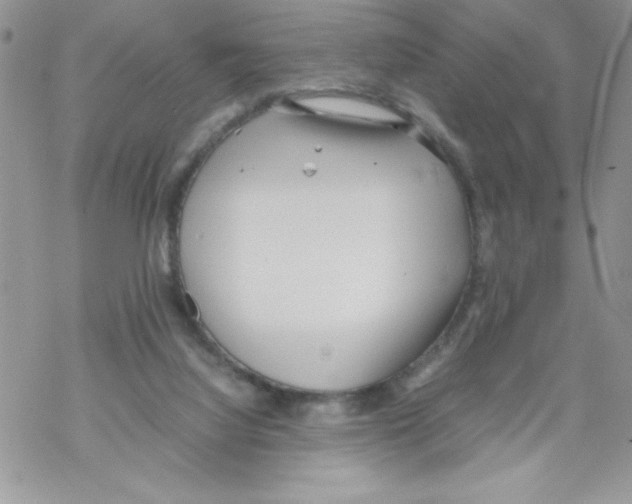 X0000069390068200606091727