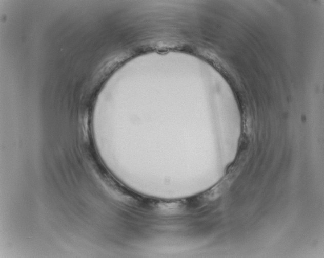 X0000069390070200606091727