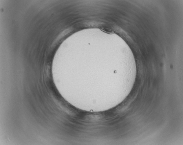 X0000069390071200606091727