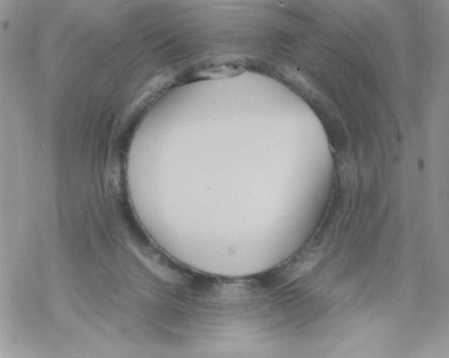 X0000069390072200606091727