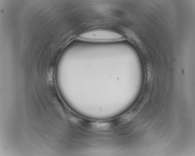 X0000069390073200606091727