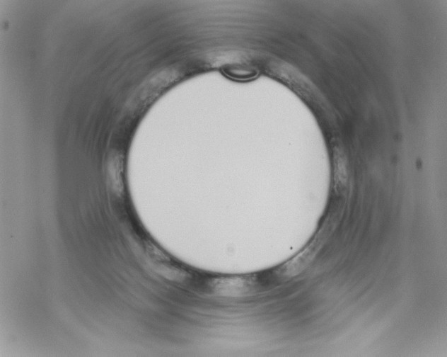 X0000069390074200606091727