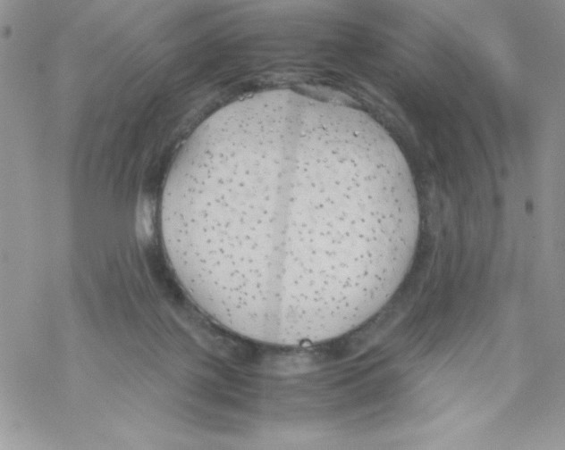 X0000069390075200606091727