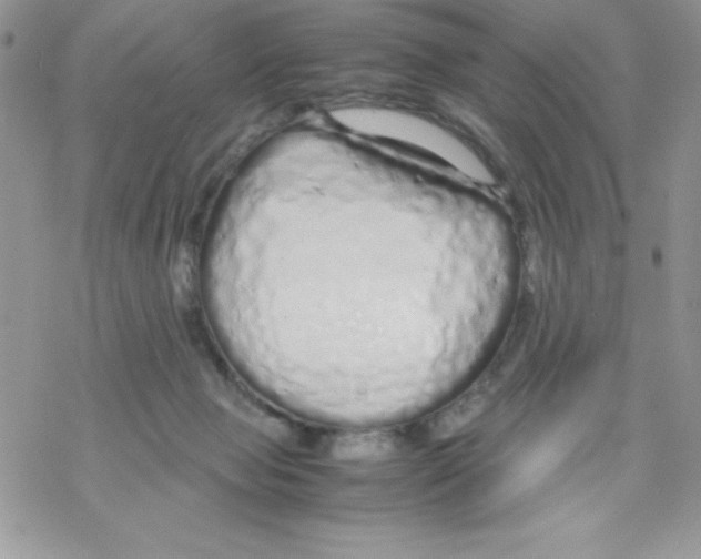 X0000069390077200606091727