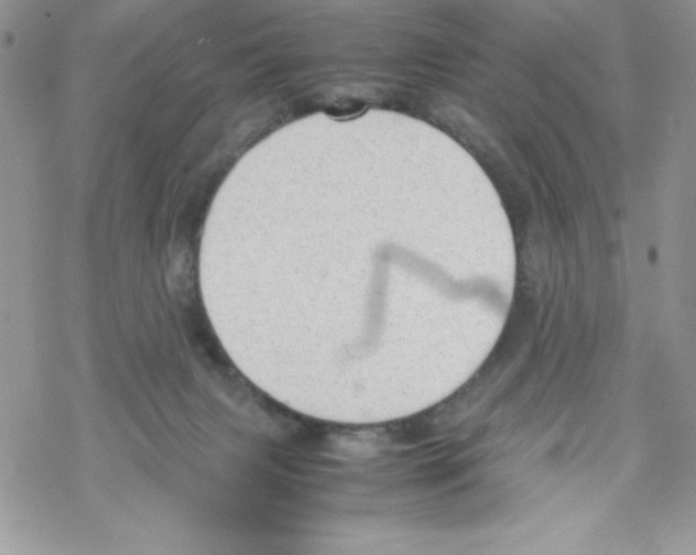 X0000069390079200606091727