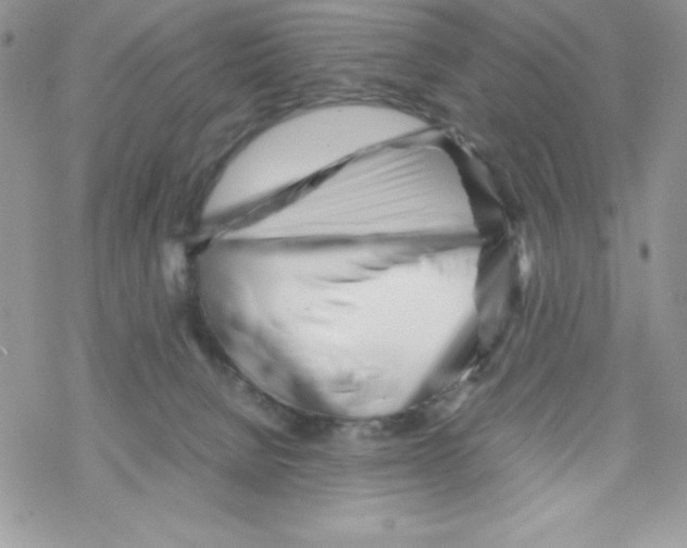 X0000069390080200606091727