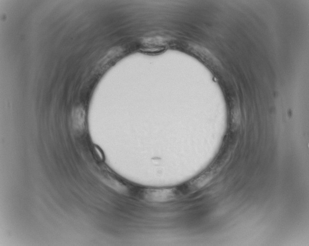 X0000069390081200606091727