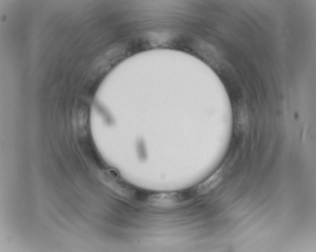 X0000069390082200606091727