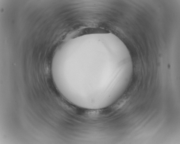 X0000069390084200606091727