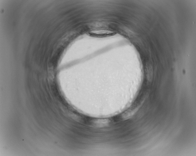 X0000069390085200606091727