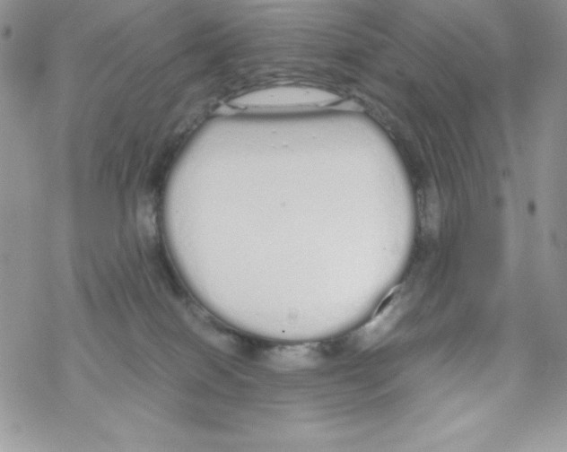 X0000069390086200606091727