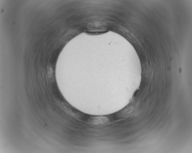 X0000069390087200606091727