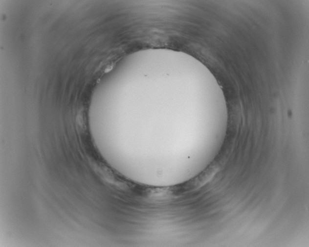 X0000069390088200606091727