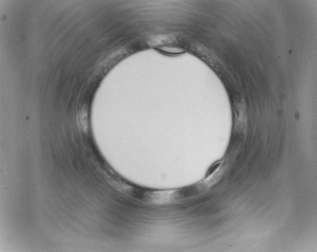 X0000069390090200606091727