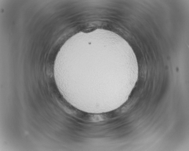 X0000069390091200606091727