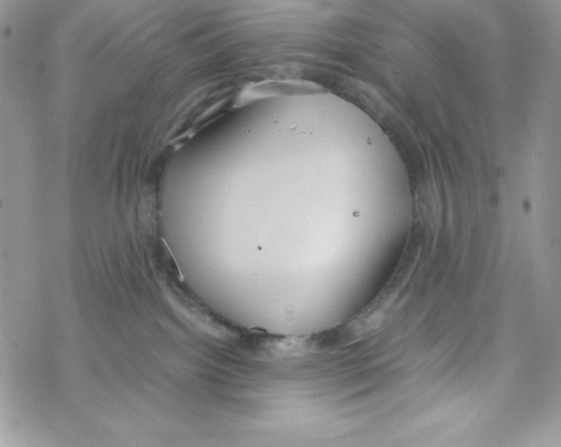 X0000069390092200606091727