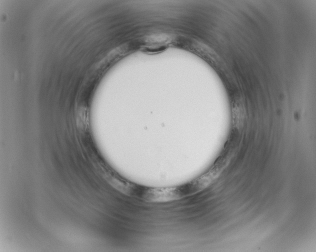 X0000069390093200606091727