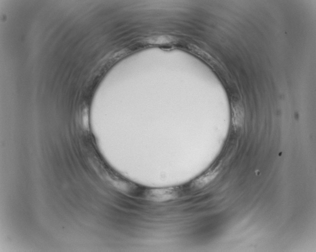 X0000069390095200606091727