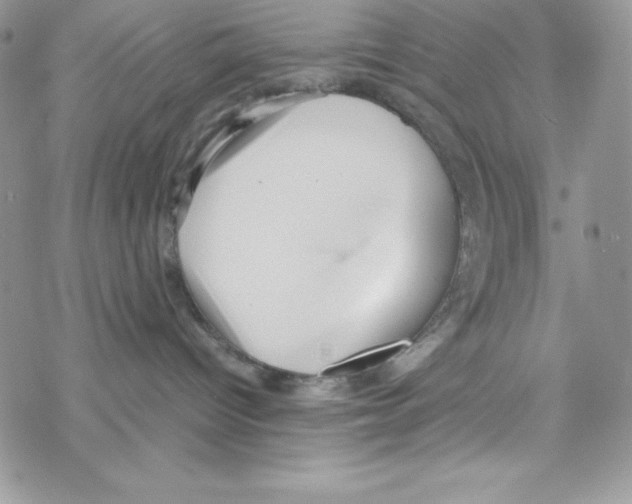 X0000069390096200606091727