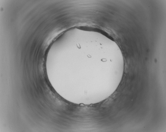 X0000069390098200606091726