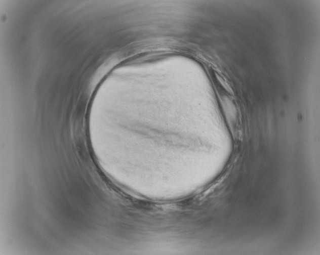 X0000069390099200606091726