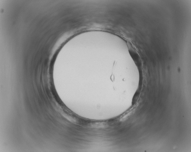 X0000069390102200606091726