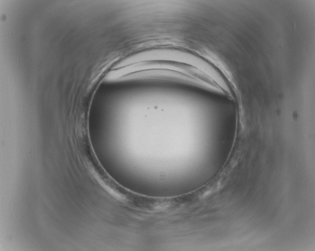 X0000069390105200606091726