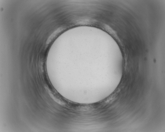 X0000069390106200606091726